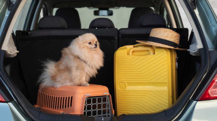 Holiday Travel With Pets - PawrPose